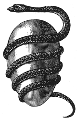 orphic_egg