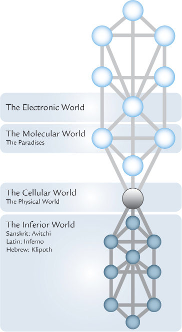tree-worlds_fmt