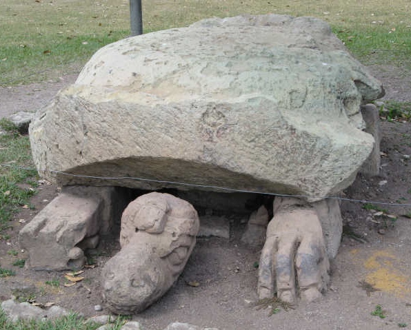 turtle