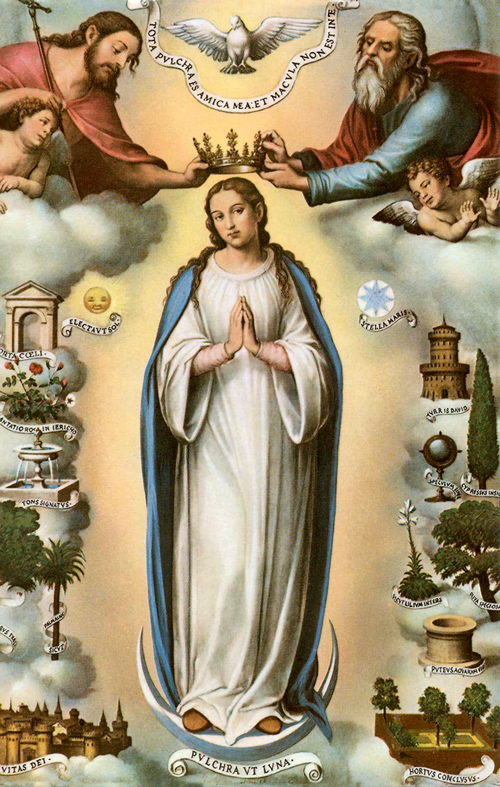 virgin mary
