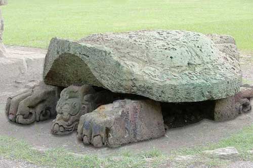 altartortuga2