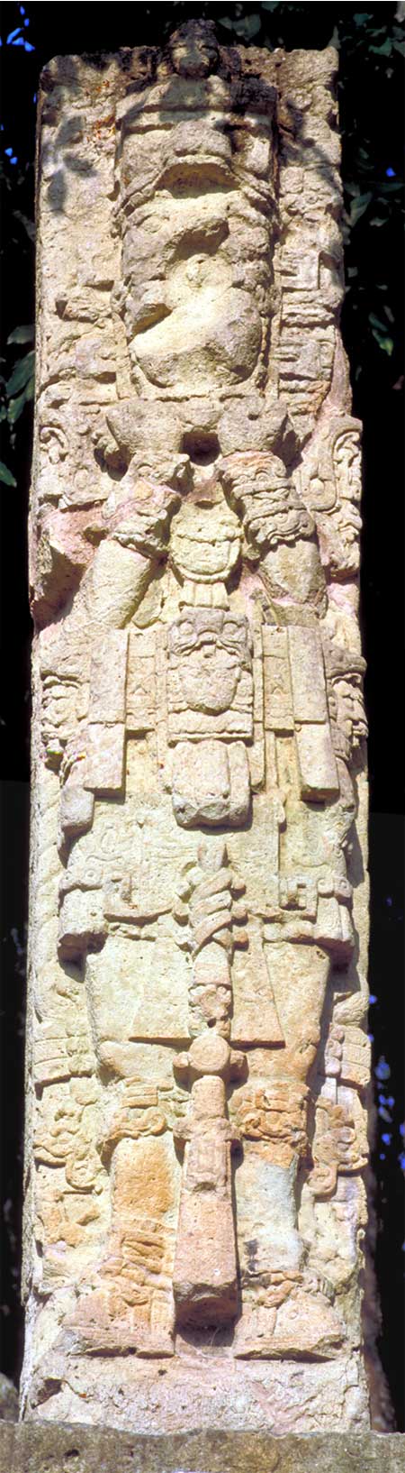 estelae
