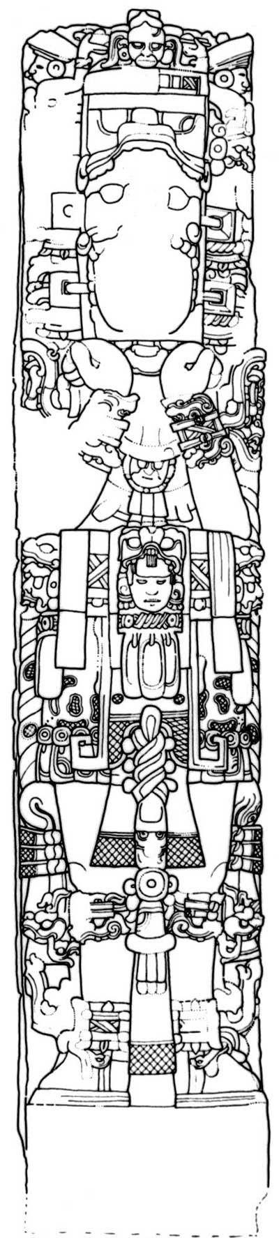 estelaedrawing