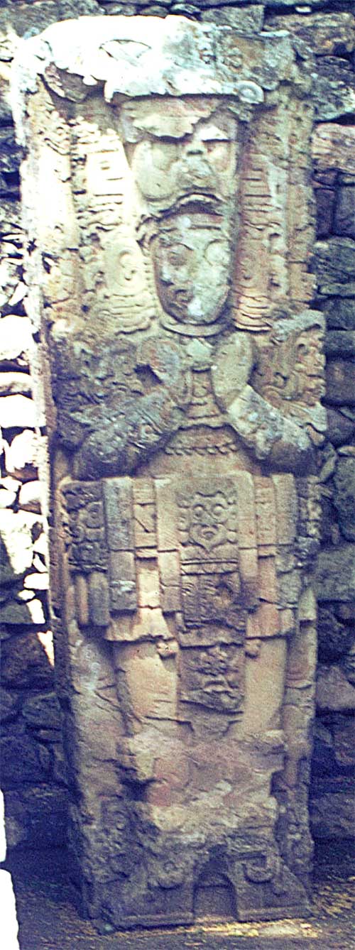 estelai