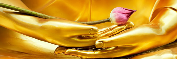 meditacion