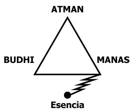 lamina-1-capitulo-53